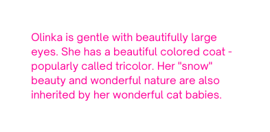 Olinka is gentle with beautifully large eyes She has a beautiful colored coat popularly called tricolor Her snow beauty and wonderful nature are also inherited by her wonderful cat babies